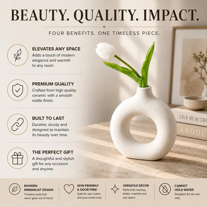 Modern Decorative Vase for Stylish Nordic Living JuChachaShop